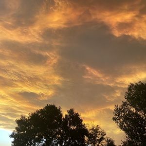 Meet your Posher, Marisol